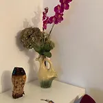 Bazyla Трускавец